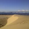 Отель Beached House on Golden Sanddunes, фото 12