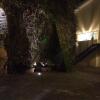 Отель Princess B&B Frascati, фото 4