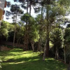 Отель Lagos Da Montanha De Gramado, фото 12