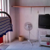 Отель Ocote Hostal, фото 3