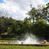 Отель Bateleur Nature Reserve and Self Catering Game Lodge, фото 6