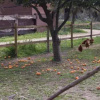 Отель B&B Emoyeni, фото 4