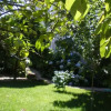 Отель Casa Das Vendas, фото 11