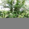 Отель Urb. Pinosol, фото 12