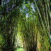 Отель Encantos do Vale Pousada e SPA Cultural, фото 8