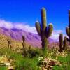 Отель Hostería el Sol Naciente, фото 4