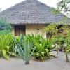 Отель Mawimbi Lodge Hotel, фото 4