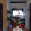 Отель Condominio Hóspedes da Terra, фото 4