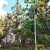 Отель Boyuan B&B, фото 6