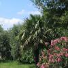 Отель Agriturismo Villa Gioia, фото 3