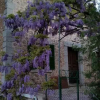 Отель Can Guixa, фото 1