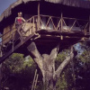 Отель Art Jungle Eco Lodge, фото 18