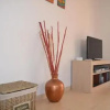 Отель Albatros Playa 2 - 4905 - RCR 38795, фото 1
