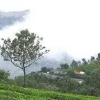 Отель Deccan Plaza Hotel - Ooty, фото 4