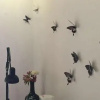 Отель B&B Fantasia, фото 13