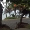 Отель Corn Island Hostal ALAL SUITE, фото 11