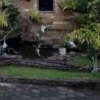 Отель Penginapan Tegal Indah, фото 8