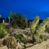 Отель Botanical Park Garden Cactus, фото 3