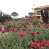 Отель Punta Dei Barbari Residence, фото 4
