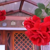 Отель Rosas Rojas Departamentos, фото 16