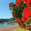 Отель Te Manaaki Villa, фото 3