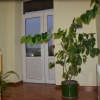 Отель Guest House on Mashtoc 47, фото 9