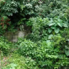 Отель Pousada Rua Thereza, фото 6