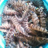 Отель Namioto no Yado Nakamuraya, фото 4