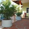 Отель Carmel Homestay, фото 14