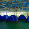 Отель Corcovado Jungle Hostel, фото 3