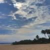 Отель Mangrove Beach Chalets, фото 6