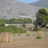 Отель Appartamenti la Pinetina di Favignana, фото 1