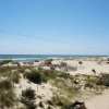 Отель Dolphin Watch - 4 Br Home, фото 17