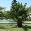 Отель Mas de Bouvet, фото 16