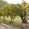 Отель Country & Beach B&B, фото 8