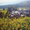 Отель Shangrao Wuyuan Shichengfeng Inn, фото 2