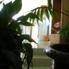 Отель Guesthouse Hadžići, фото 9