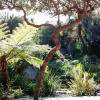 Отель Hout Bay Hideaway, фото 6