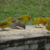 Отель Pousada Regina, фото 5