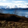 Отель Vestfjord Service Villa, фото 4