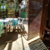 Отель Kalachuchi Hostel, фото 6