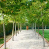 Отель B&B Villa Luogoceleste, фото 6