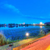 Отель Lullwater Front Beach Condos by ZIA VR, фото 17