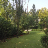 Отель Amã Stays & Trails W567, Dehradun, фото 16