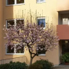Отель Ferienwohnung am Kugelberg, фото 1