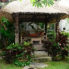 Отель Villa Mangga Ubud, фото 7