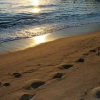 Отель Lacona Mare, фото 2