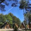 Отель CABAñAS LAUTARO PUCON, фото 1