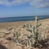Отель Mare Di Ginepri, фото 9