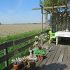 Отель Holiday Home Tuinzicht, фото 1